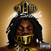 FAT TREL - No Secrets